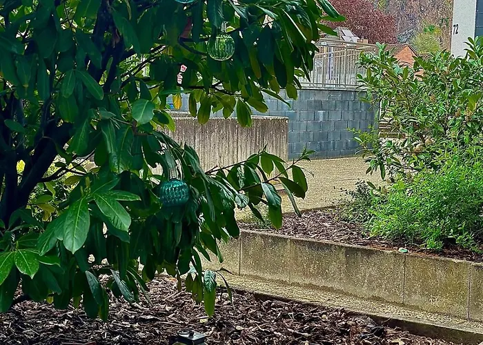 Homindays Terrace With Mountain Views River Just Nearby