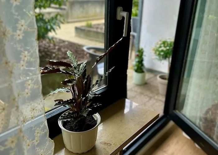 Appartement Homindays Terrace With Mountain Views River Just Nearby Bad Kreuznach